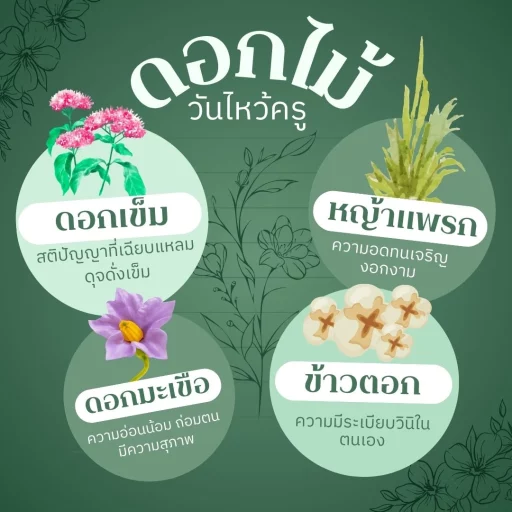 ความหมายของดอกไม้ไหว้ครู 2567