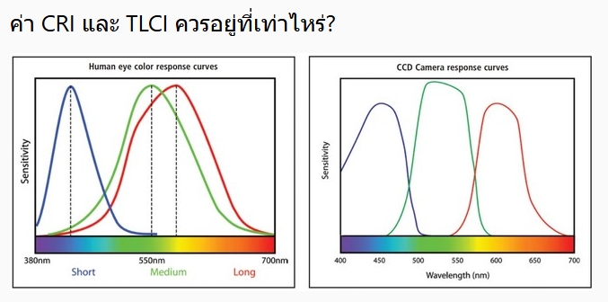 กราฟประกอบเรื่อง CRI และ TLCI กราฟเปรียบเทียบการตอบสนองต่อสีของดวงตามนุษย์และกล้อง CCD ประกอบหัวข้อ CRI และ TLCI